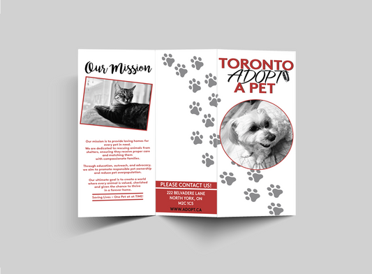 Brochures - Double Sided